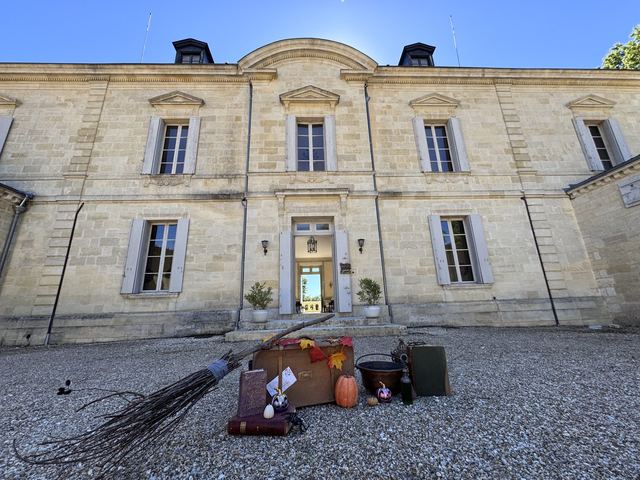 Le chateau et son aile